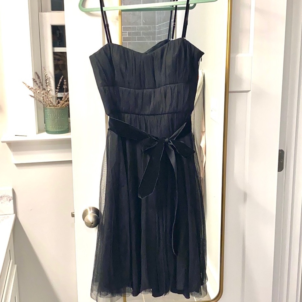 Banana Republic Tulle Dress Velvet sash